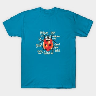 Ladybug illustration with anatomy labels T-Shirt